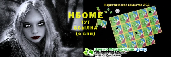 мдпв Вяземский